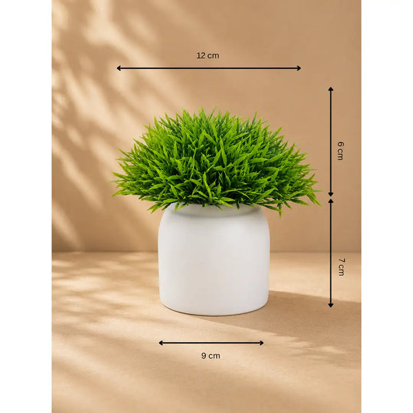 Fresh Aura Artificial Grass Plant with Pot