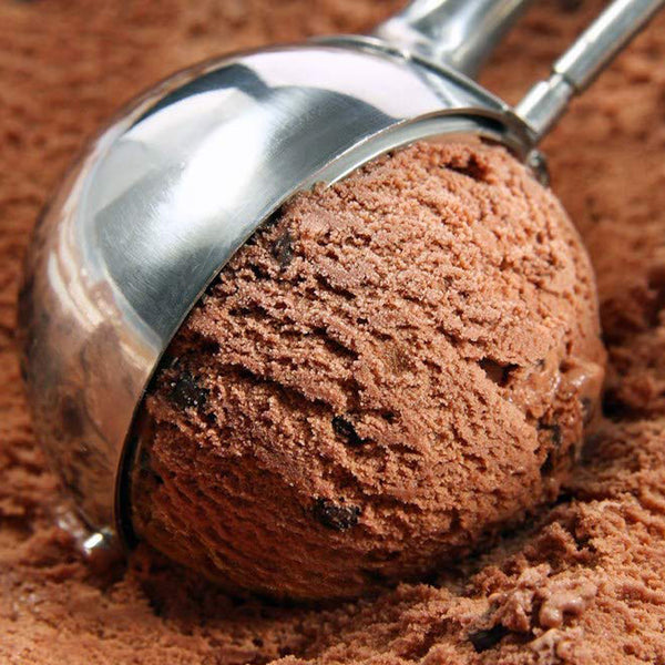 Stainless Steel Handheld Ice Cream Scoop Spoon