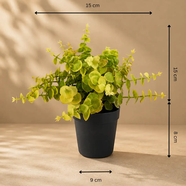 Golden Grove Artificial Eucalyptus Plant with Pot