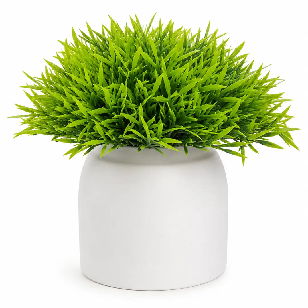 Fresh Aura Artificial Grass Plant with Pot