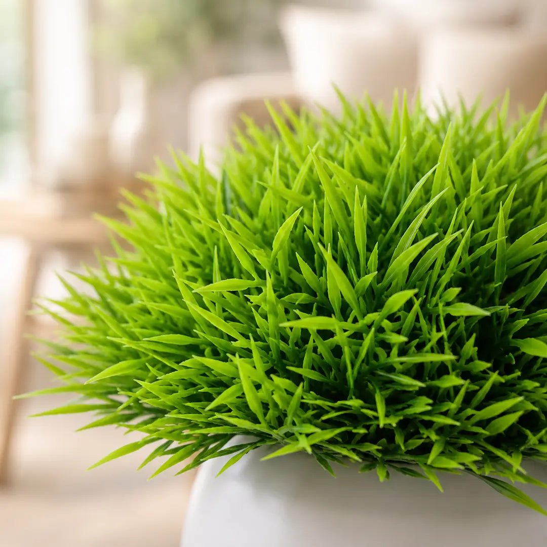 Fresh Aura Artificial Grass Plant with Pot