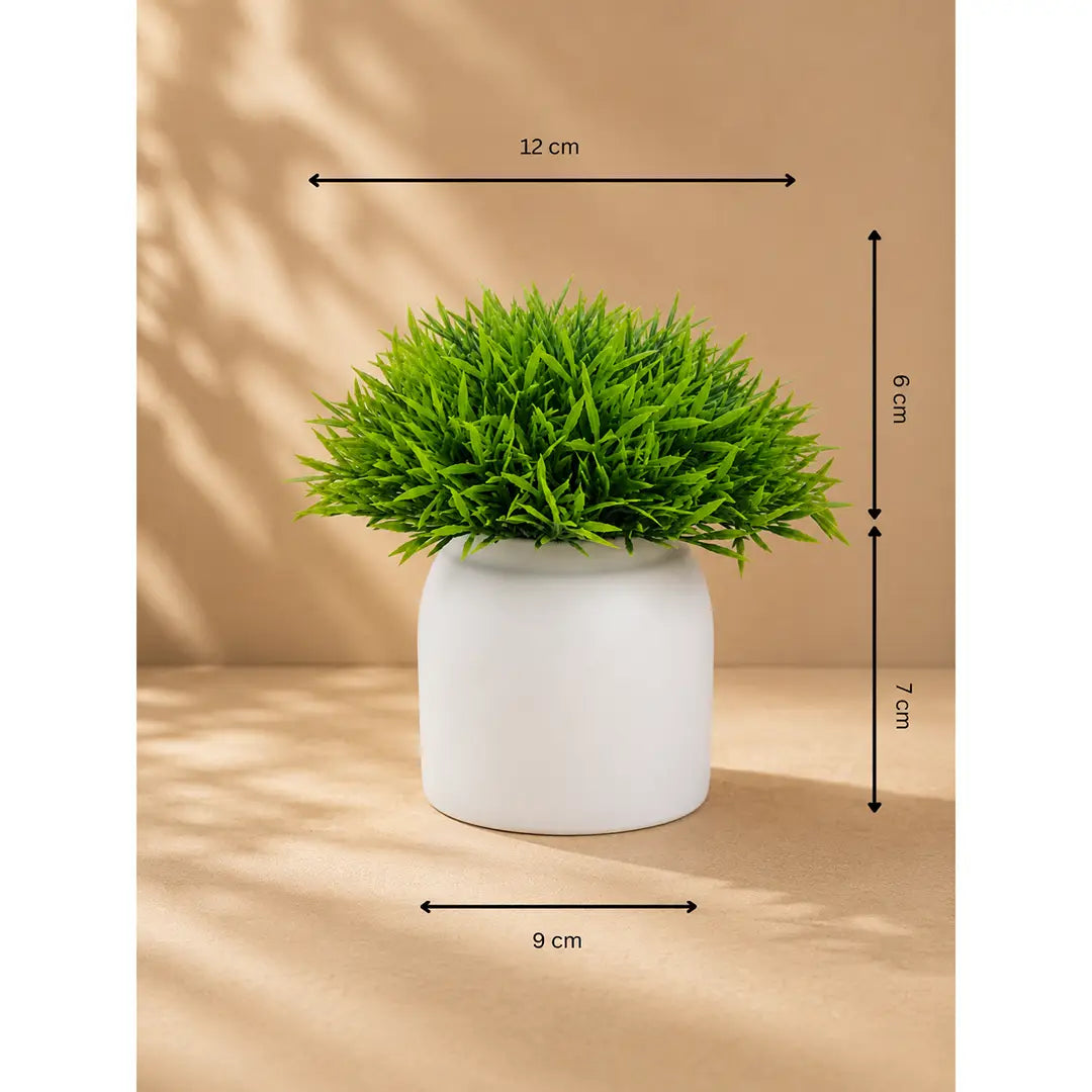 Fresh Aura Artificial Grass Plant with Pot