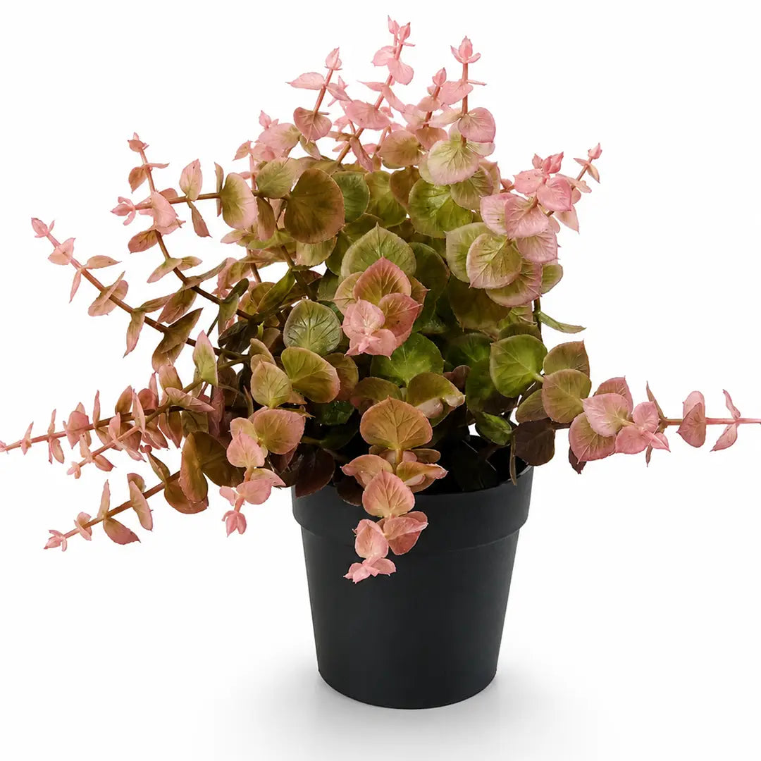 Blush Breeze Artificial Eucalyptus Plant with Pot