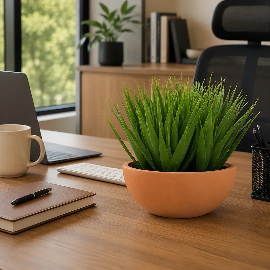 Terra Green Artificial Grass Plant with Bowl Po