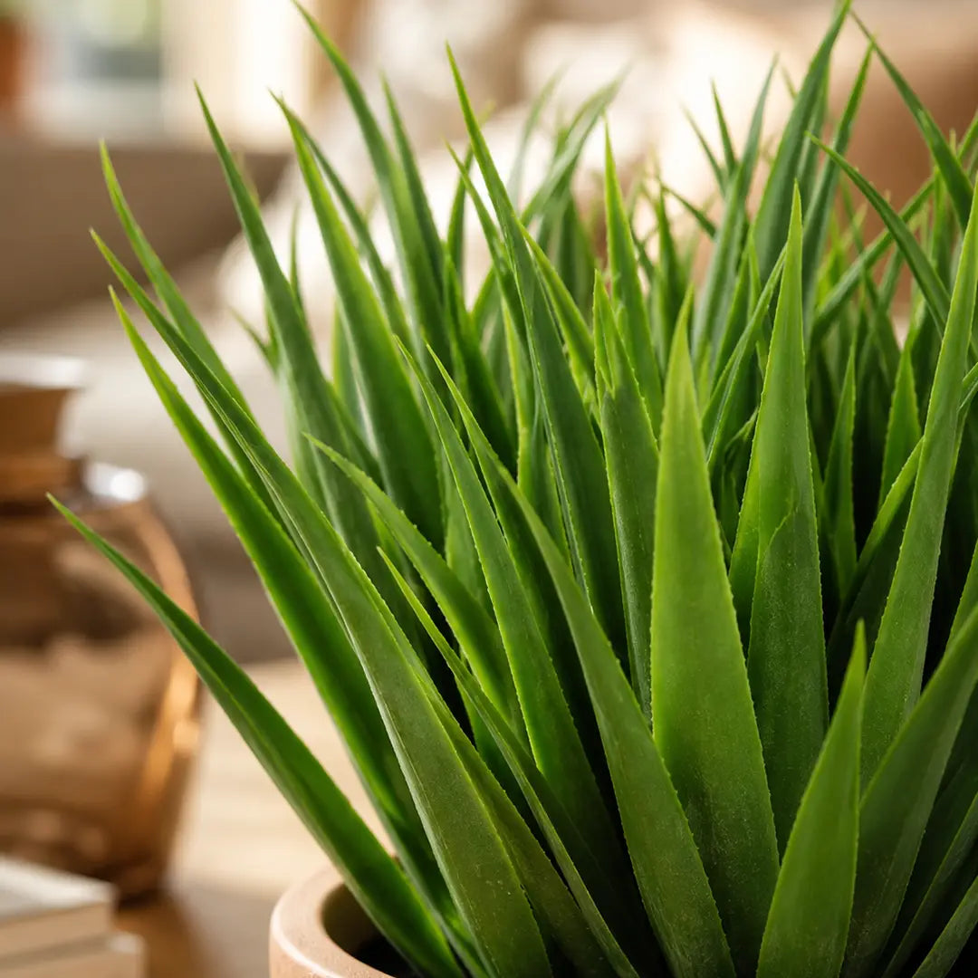 Terra Green Artificial Grass Plant with Bowl Po