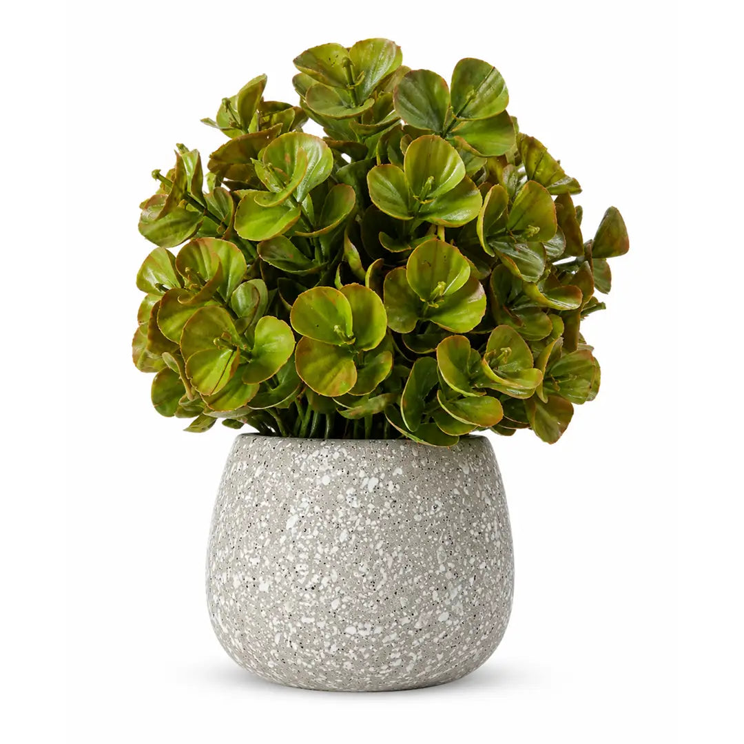 Nature Pearl Artificial Green Plant with Pot