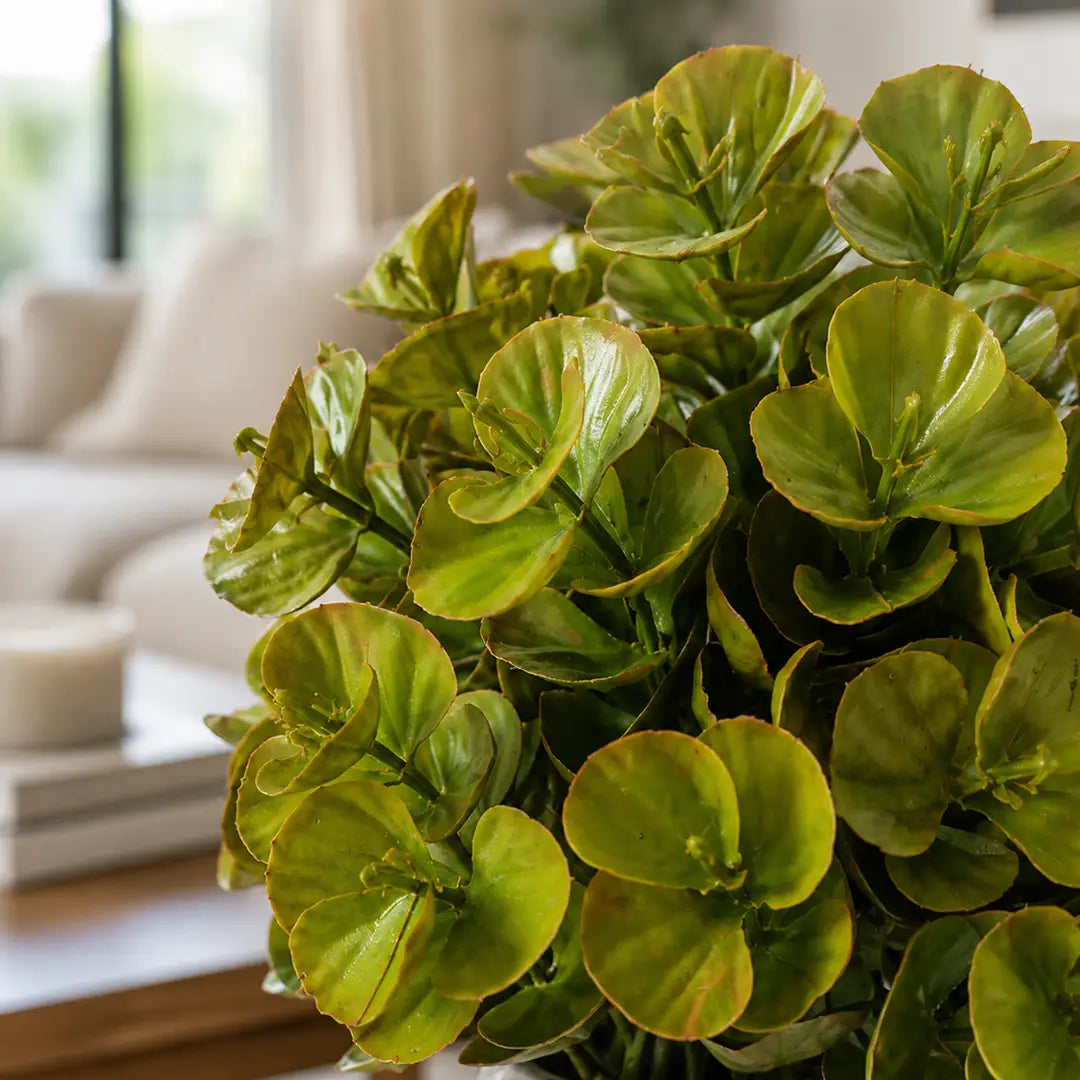 Nature Pearl Artificial Green Plant with Pot