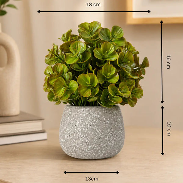 Nature Pearl Artificial Green Plant with Pot