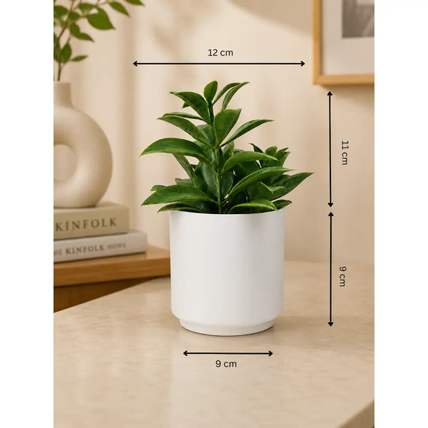 Emerald Elegance Artificial Green Plant with Pot