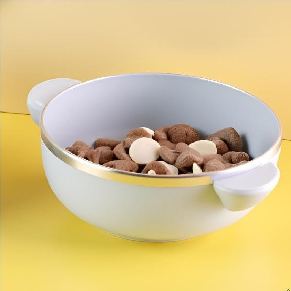 Premium Stainless Steel Bowl with Lid & Spoon