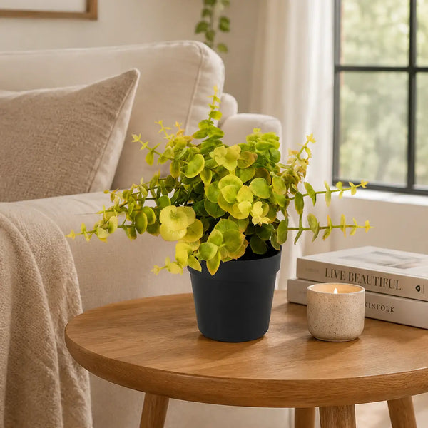 Golden Grove Artificial Eucalyptus Plant with Pot