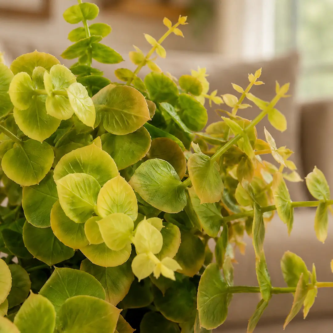 Golden Grove Artificial Eucalyptus Plant with Pot