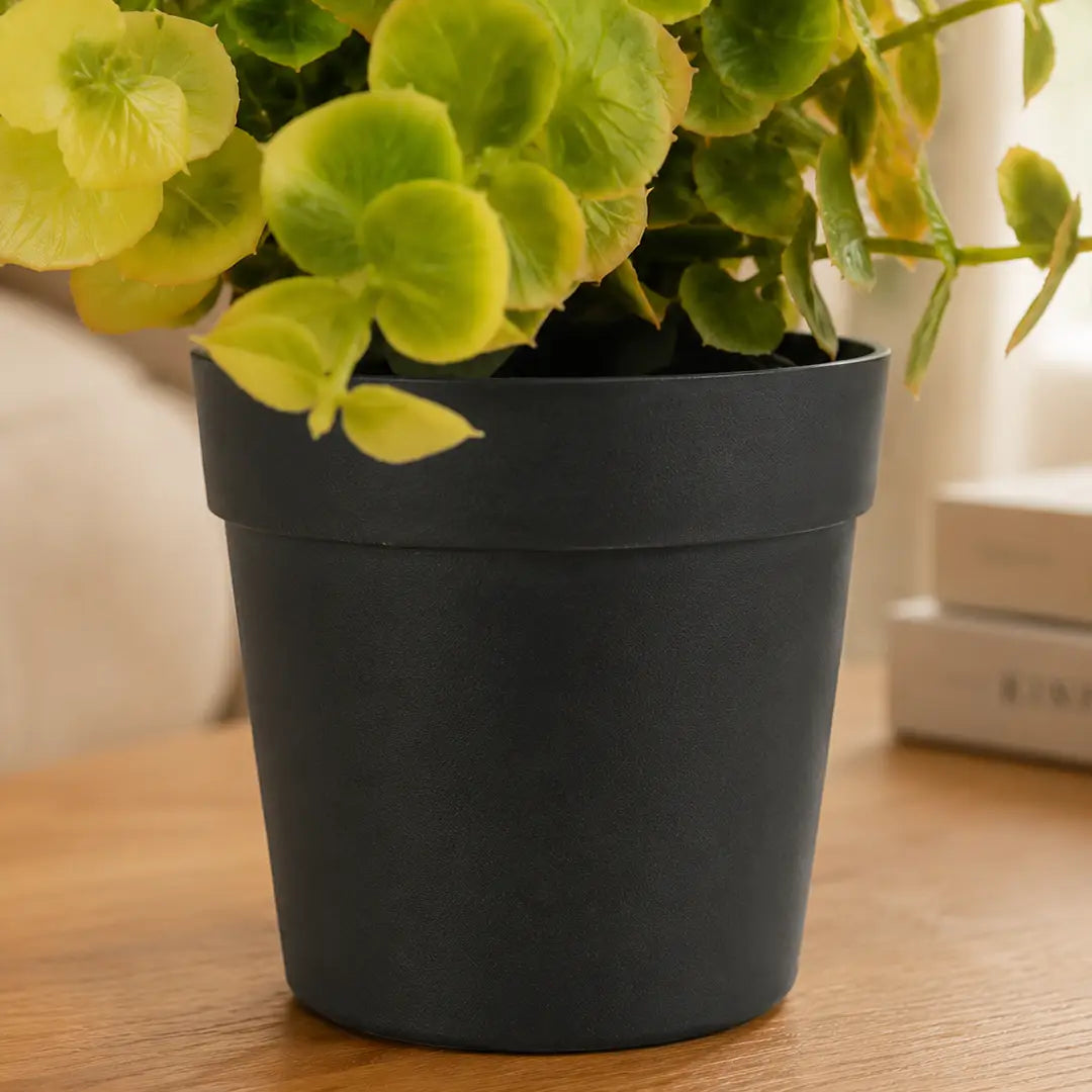 Golden Grove Artificial Eucalyptus Plant with Pot